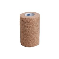 Infection, Skin & Wound Care