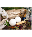 F&F SPIRITUAL BATH BOMB