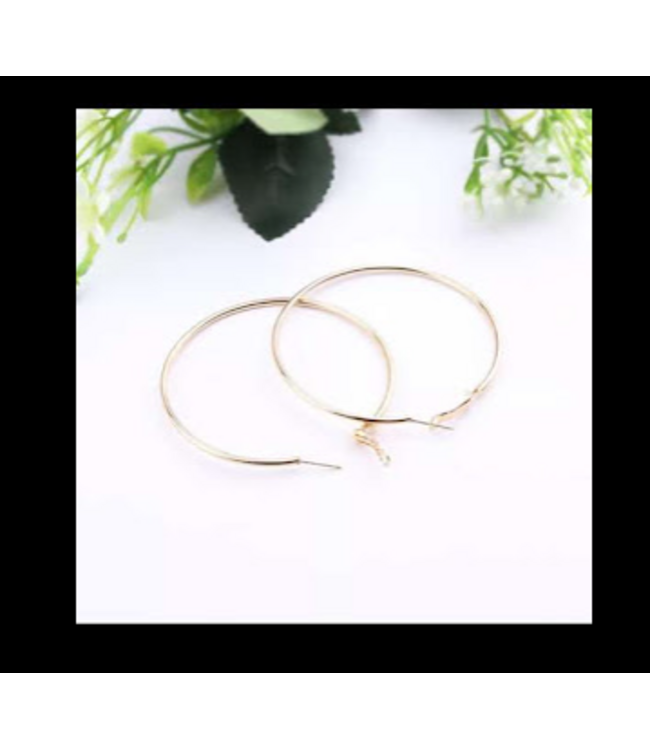 A.X SM/MED SILVER  COLOR HOOPS