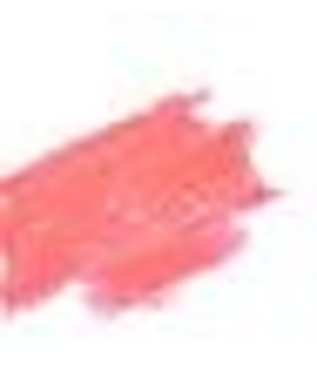 AMUSE COSMETICS AMUSE MATTE LIPSTICKS