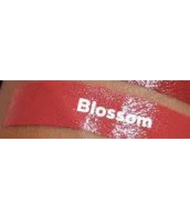 LA COLORS VELVET PLUSH CREAMY LIP COLOR