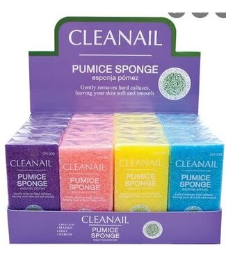 PUMICE SPONGE