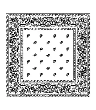 BANDANA -WHITE PAISLEY
