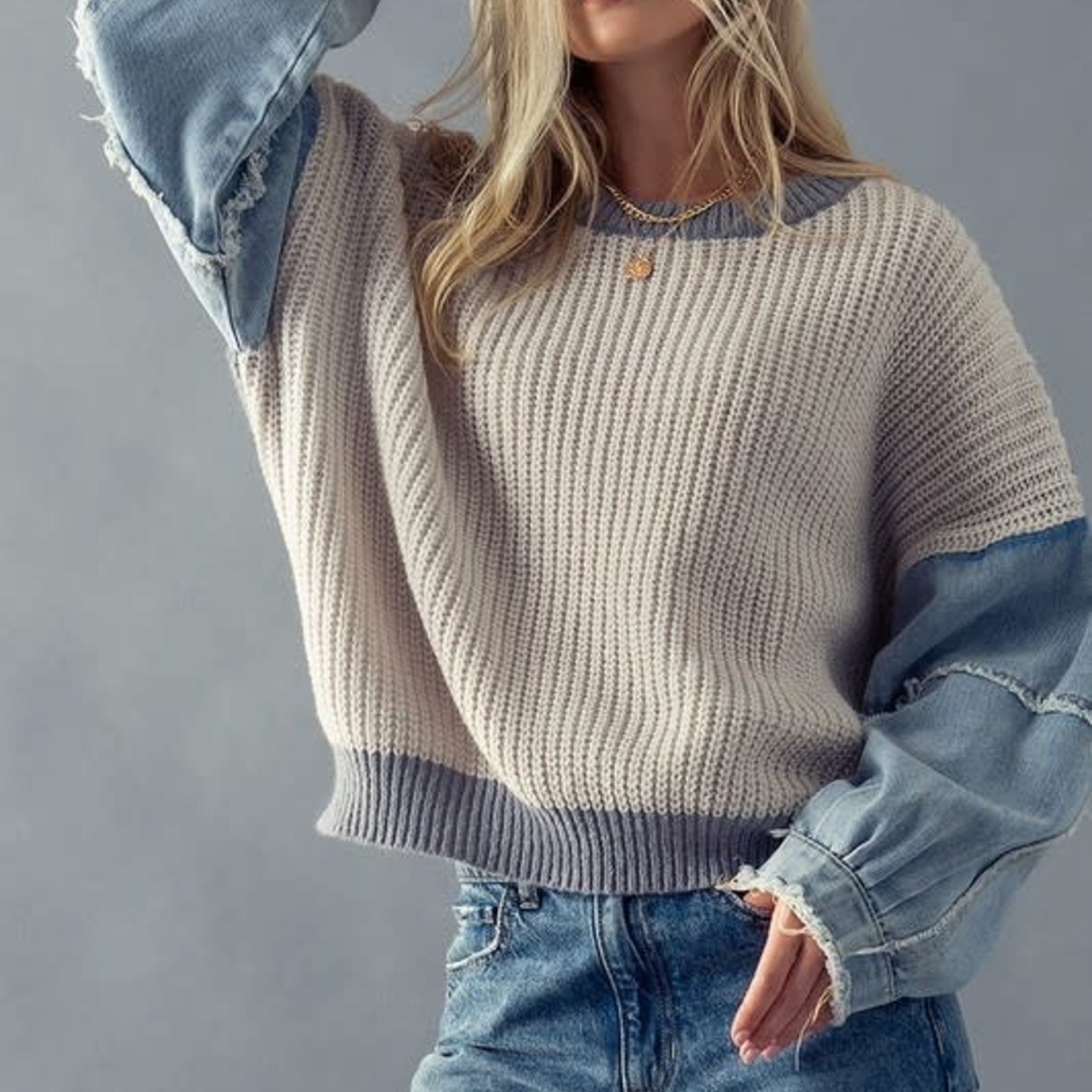 Trend Notes Chelsea Denim Sweater