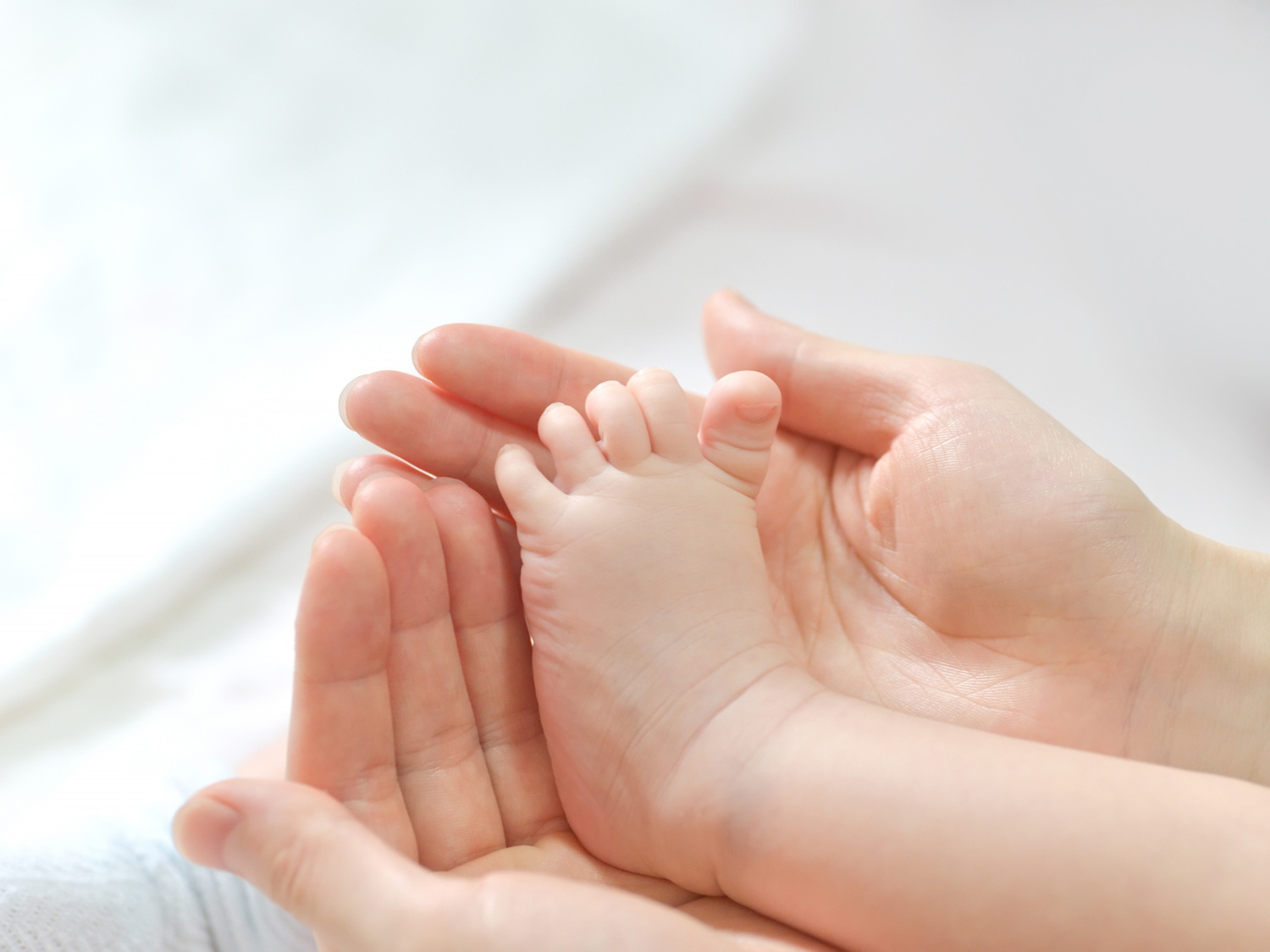 **Resources Available to Better Understand the Child’s Foot