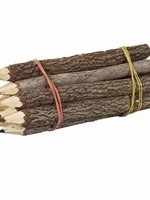 BRANCH COLORED PENCILS Large
