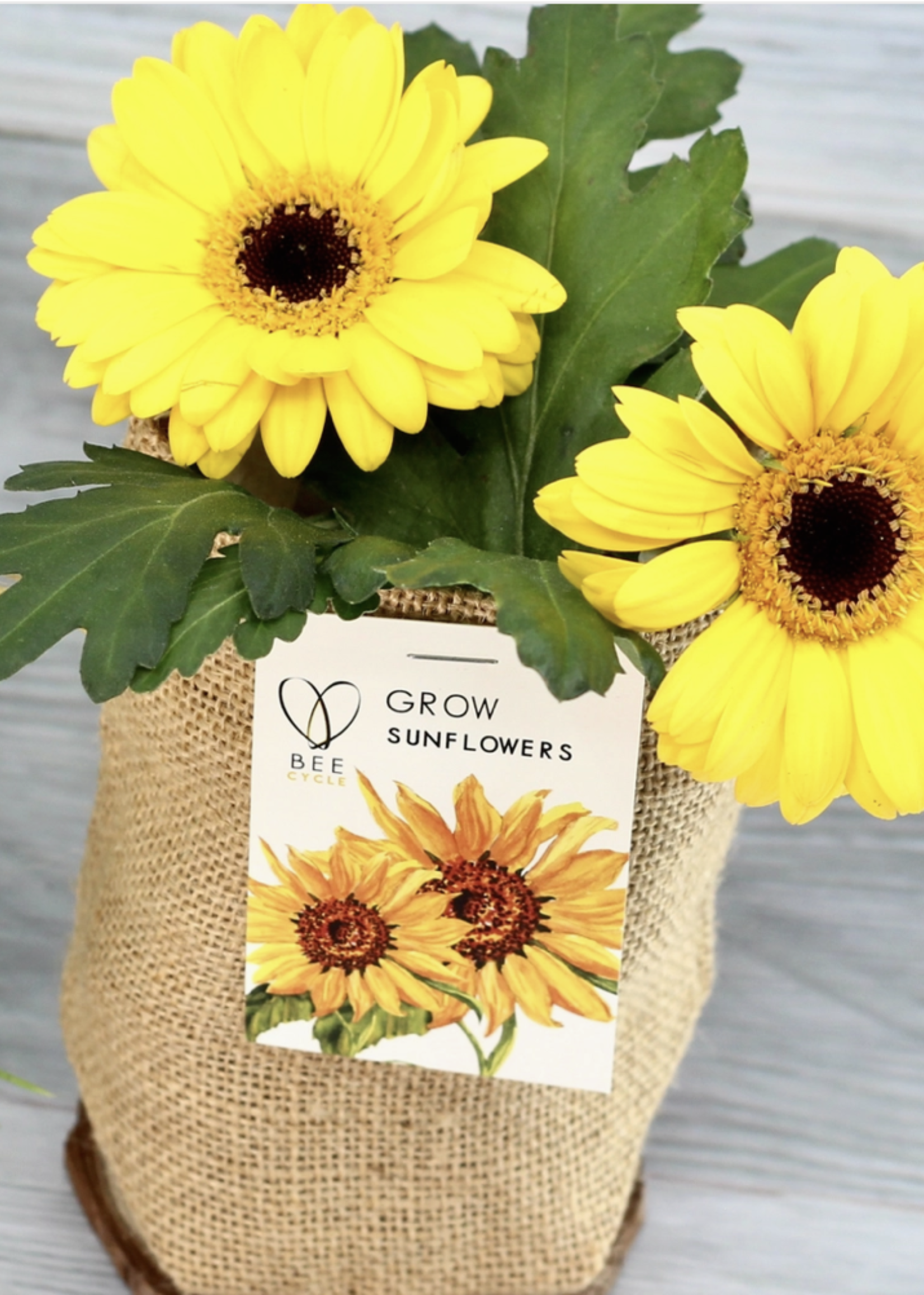 Happy Sunflower Jute Bag Grow Set