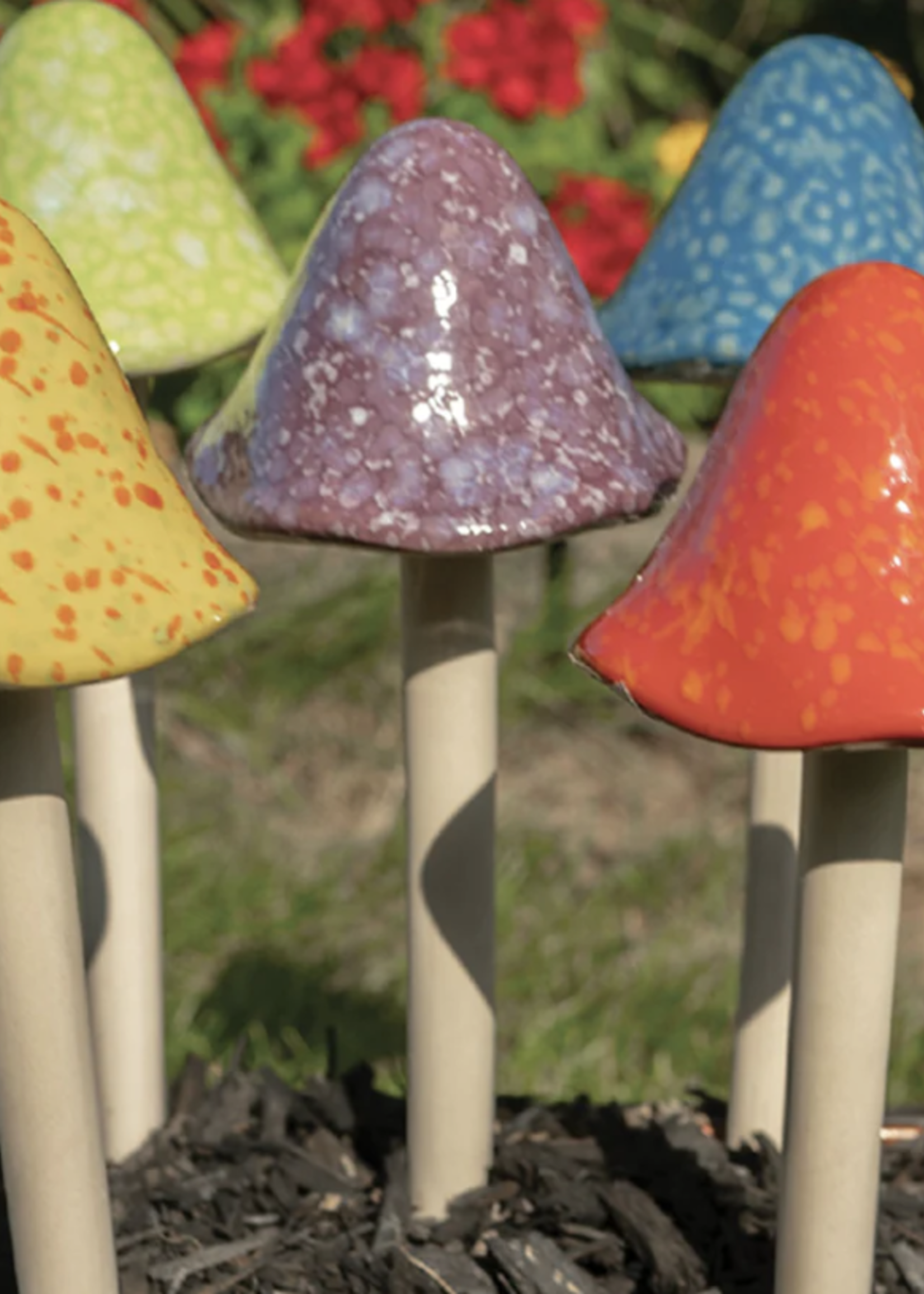 14" Grande Bright Mushroom Collection
