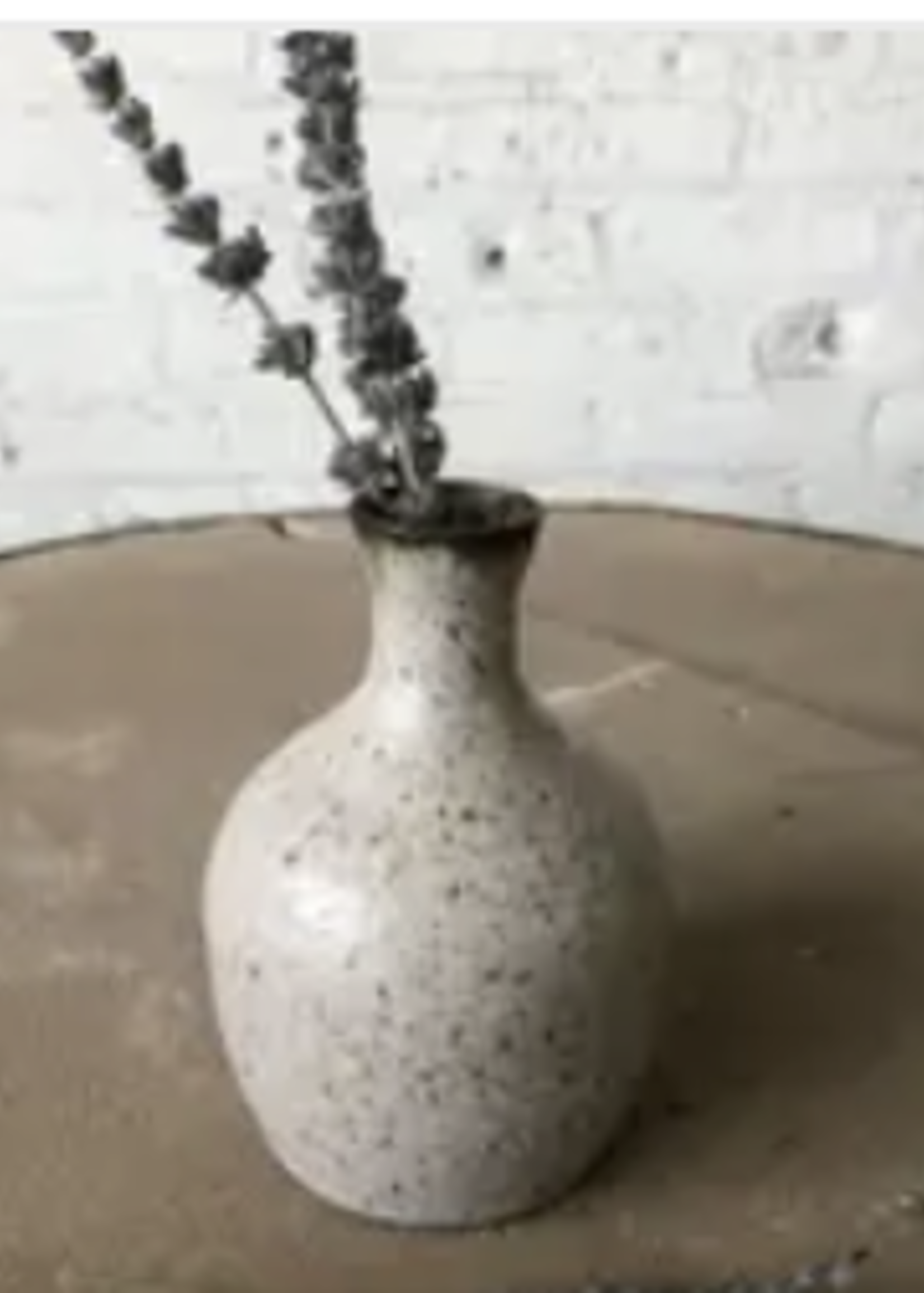 Narrow Neck Luna Vase | Mist