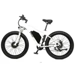 E-Ranger E- Ranger Roadster Bicycle