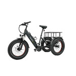 E-Ranger E- Ranger Lunar Lander Tricycle