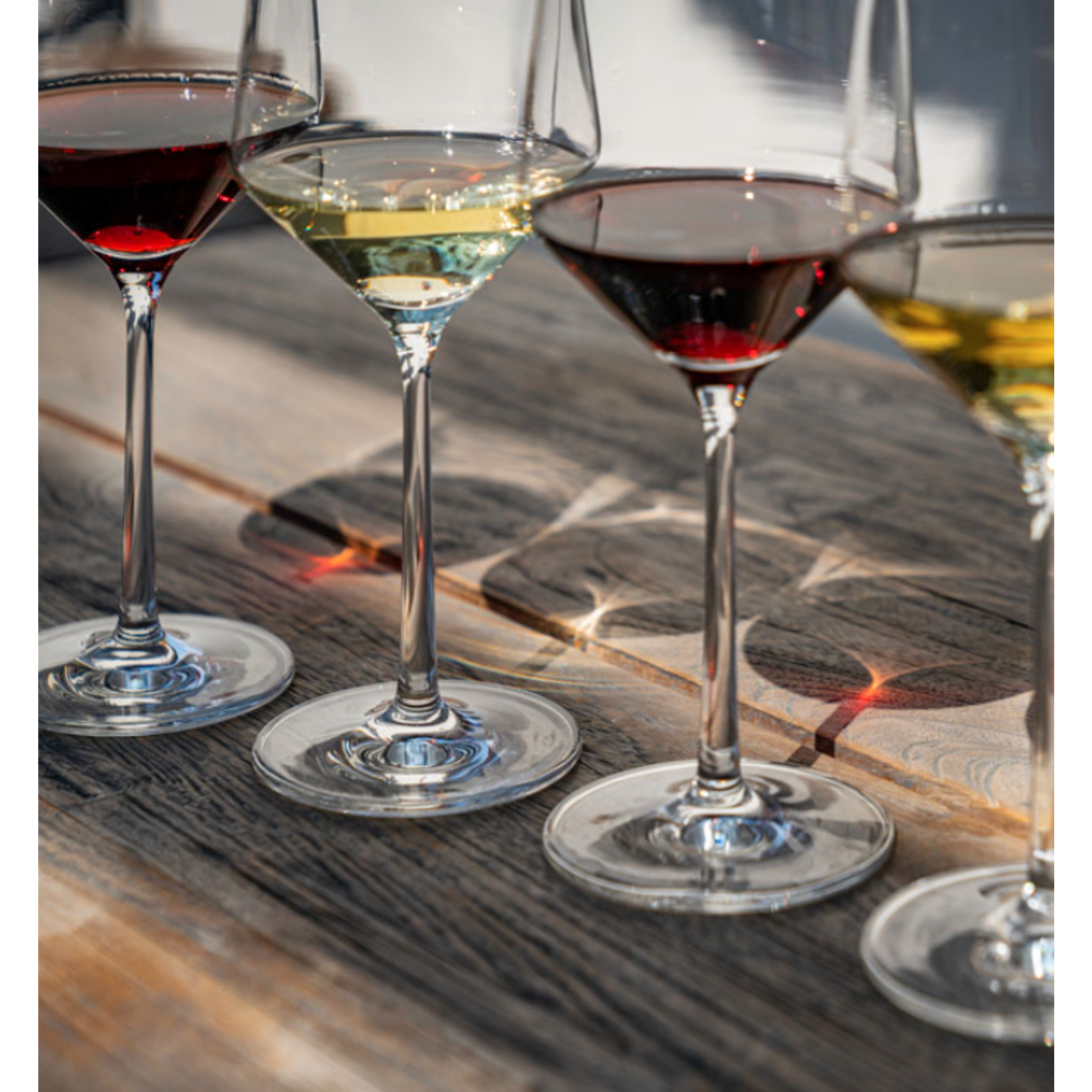 Wine Classes- 2 Ticket