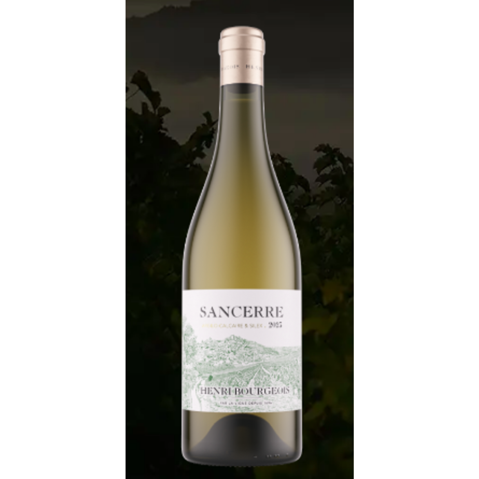 Henri Bourgeois Sancerre 2023