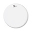 Aquarian - TCFOR10 - 10" Force Ten Coated