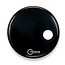 Aquarian - RSM14BKT - 14" Regulator Off-Set Hole Gloss Black with Tom Hoop