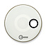 Aquarian - RSM15WHT - 15" Regulator Off-Set Hole Gloss White with Tom Hoop
