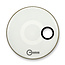 Aquarian - RSM24WH - 24" Regulator Off-Set Hole Bass Drum Gloss White