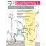 Essential Styles for the Drummer and Bassist, Book 1 - by Steve Houghton and Tom Warrington - 00-4309