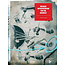 Melodic Interpretation for the Drumset - by Carlos Ezequiel - 01-ADV13024