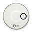 Aquarian - RSM24WH - 24" Regulator Off-Set Hole Bass Drum Gloss White