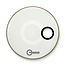 Aquarian - RSM15WHT - 15" Regulator Off-Set Hole Gloss White with Tom Hoop