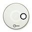 Aquarian - RSM14WHT - 14" Regulator Off-Set Hole Gloss White with Tom Hoop