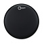 Aquarian - TCRSP2-18BK - 18" Response 2 Coated Black
