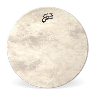 Evans Evans - BD18CT - Calftone Bass Drum Head, 18"