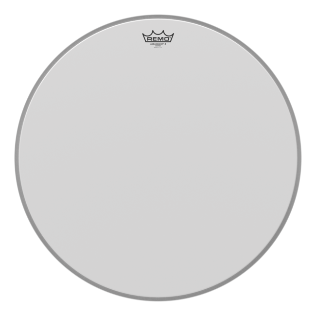 Remo - AX-1124-00- - **Special Order**, Bass Drum, Ambassador X, Coated, 24'' Diameter