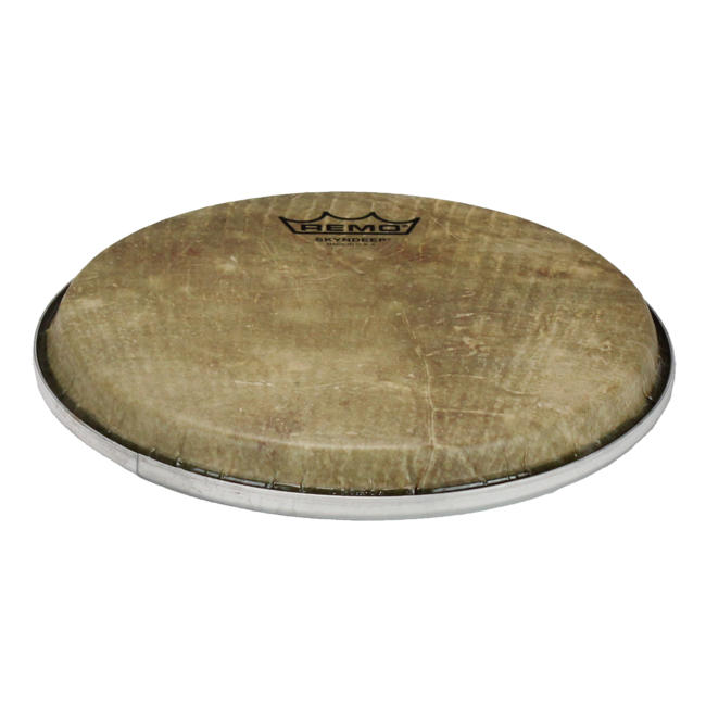 Remo - BD-0009-00-SD001 - **Special Order**, Doumbek Drumhead, R Series, Skyndeep, 9" Diameter, 1/2" Collar, Wide Hoop, 'Fish Skin' Graphic
