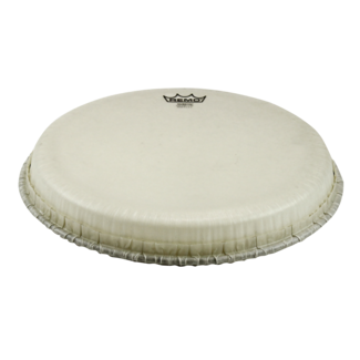 Remo Remo - M8-1400-N2- - **Special Order**, Djembe Drumhead, Tucked, 14", Nuskyn
