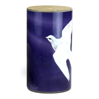 Remo Remo - PP-0730-BA- - Propack (10",12",14" Ba Clear + 14" Sa Hazy)