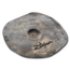 Zildjian - FXRCLG - FX Raw Crash, Large Bell