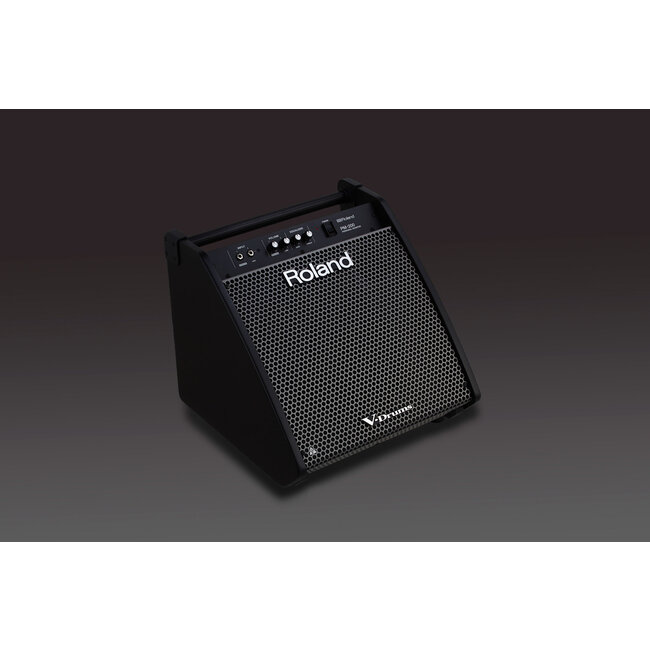 Roland - PM-200 - Personal Drum Monitor-180 watts, 12" woofer, horn tweeter, XLR outputs