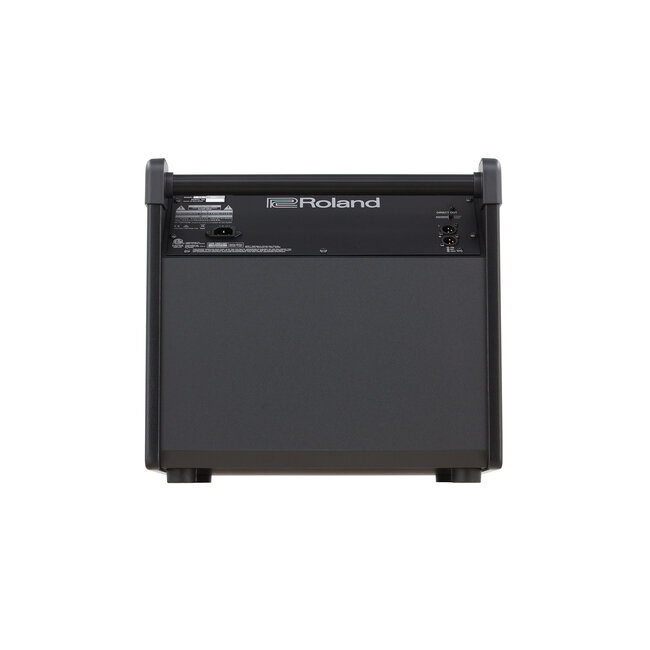 Roland - PM-200 - Personal Drum Monitor-180 watts, 12" woofer, horn tweeter, XLR outputs