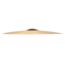 Sabian - 12172 - 21" HH Raw Bell Dry Ride