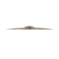 Sabian - 22206TSSLB - 22" AA Spotlight Crash