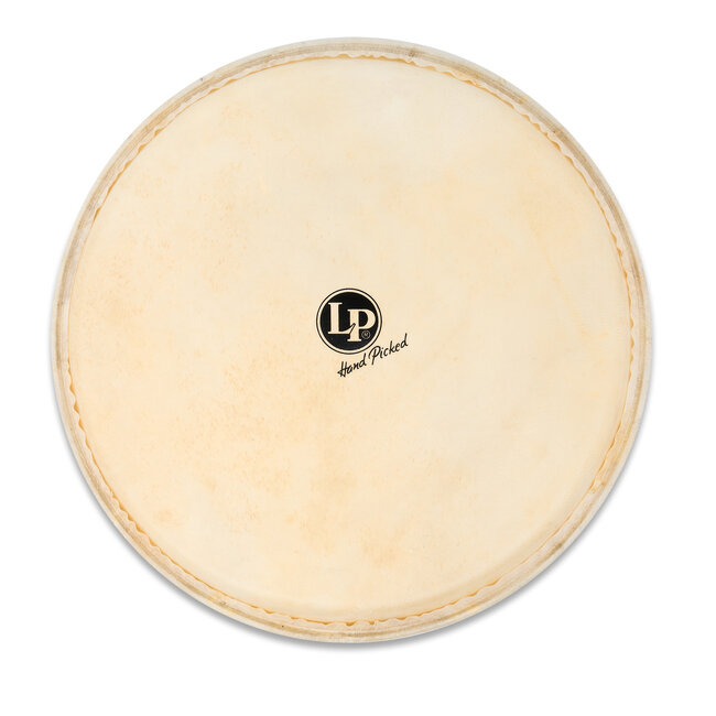 LP - LP961 - 12 1/2" Djembe Replacement Head for LP720