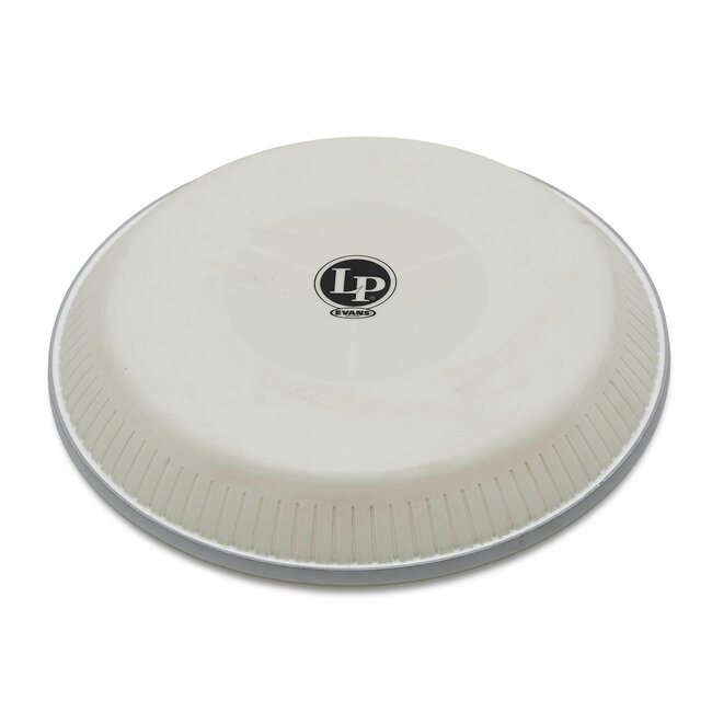 LP - LP803AE - Evans Synthetic Head Requinto Z Series
