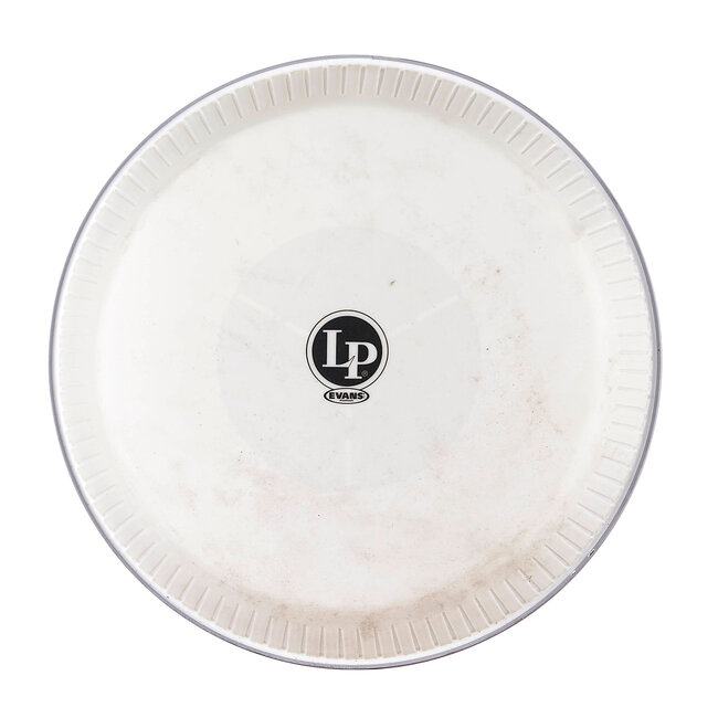 LP - LP803AE - Evans Synthetic Head Requinto Z Series