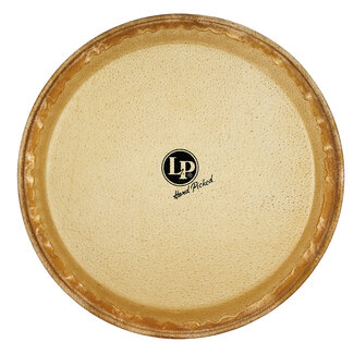 LP LP - LP274A - 11" Replacement Head. Quinto Z Series