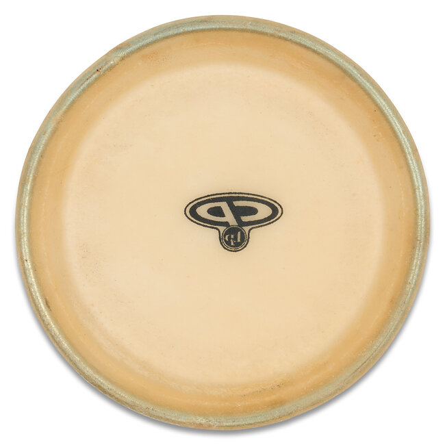 CP - CP626A - 6" Head for CP626 Bongo