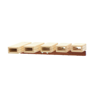 Pearl Pearl - PCWTB05 - Concert Temple Blocks (Set Of 5)