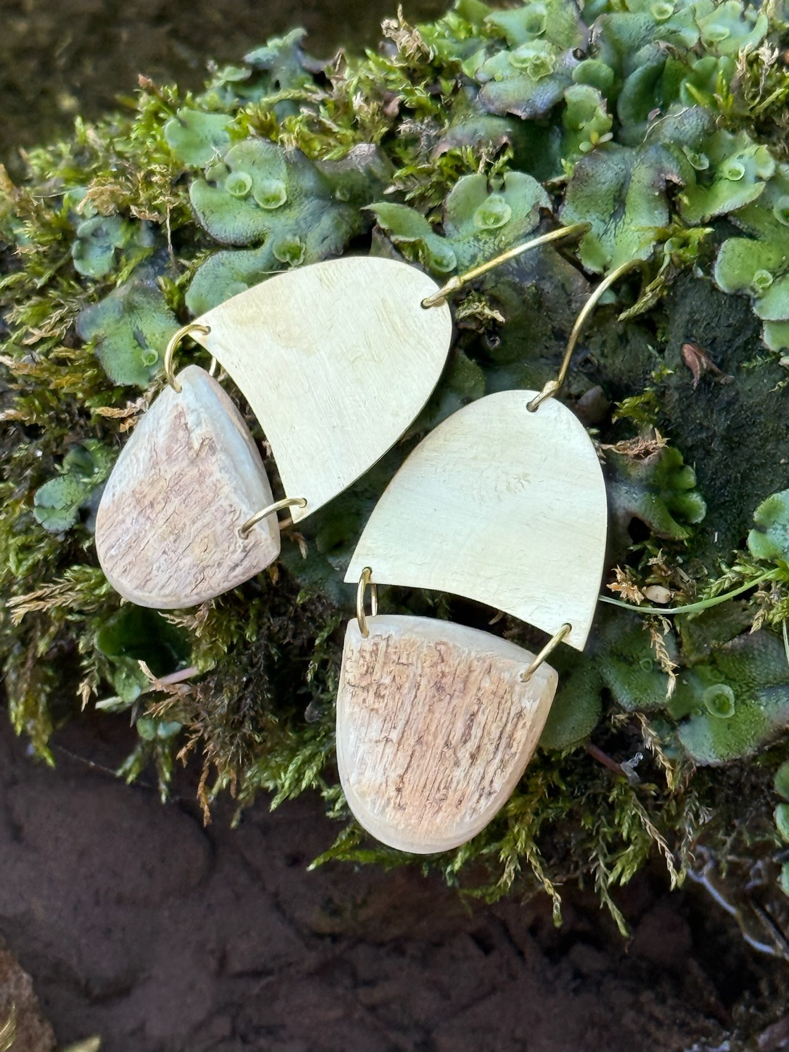 BUFFALO HORN & BRASS Capsule Earrings