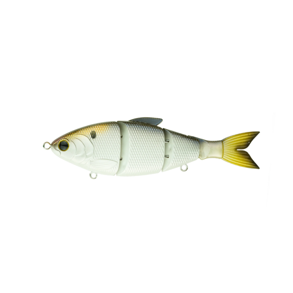 TRACE - 4K SHAD (SLOW SINKING) - Gellco Outdoors