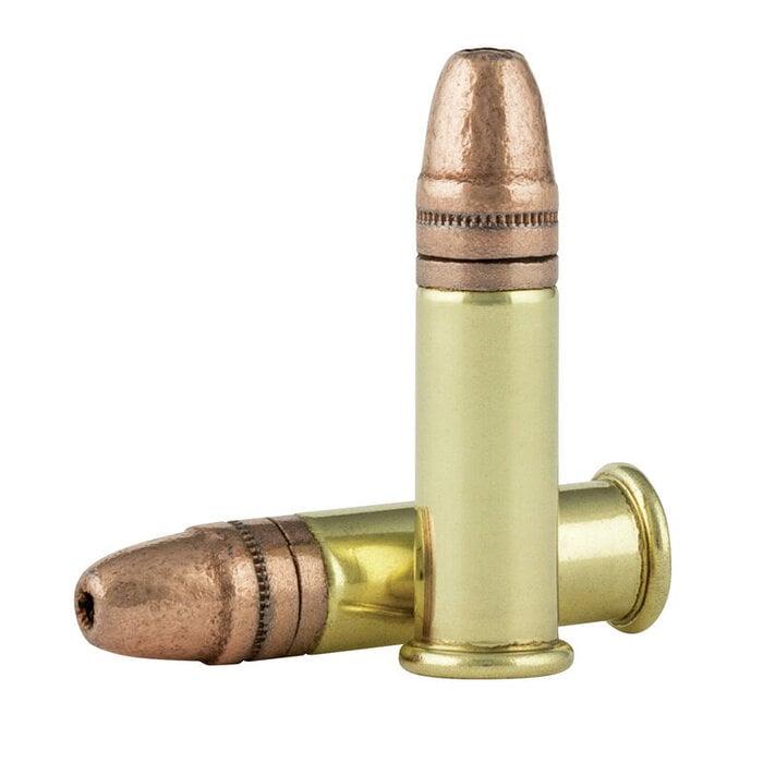 CCI AMMO 22 LR MINI-MAG SEGMENTED HP 40 GR