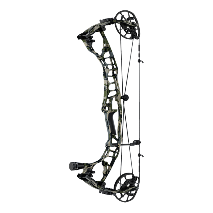 HOYT VTM 31