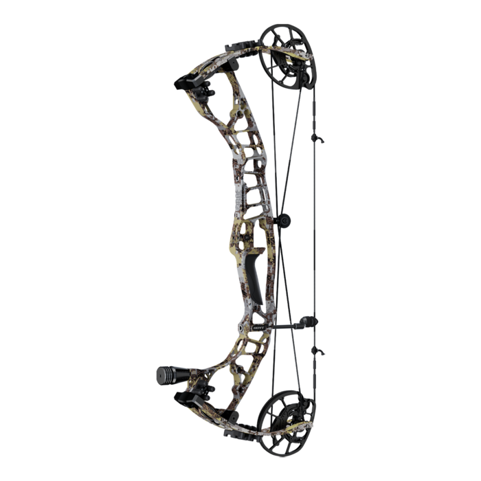 HOYT VTM 31