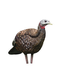 AVIAN X LCD BREEDER HEN TURKEY DECOY