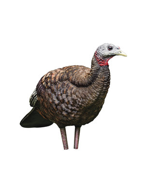 AVIAN X LCD BREEDER HEN TURKEY DECOY